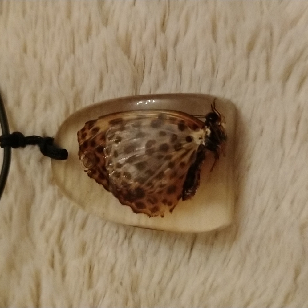 🦋Real butterfly necklace in Lucite 🦋